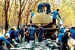 Xuất khẩu cao su sang Trung Quốc gặp khó
